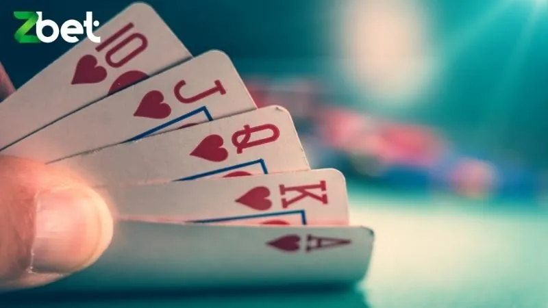 3 doi thong chat heo 3 đôi thông chặt heo